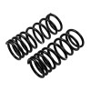 ARB / OME Coil Spring Rear Gu Low - 2982 Photo - out of package