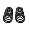 ARB / OME Coil Spring Rear Coil Nissan Y61 Swbr - 2GQ02B Photo - Close Up