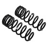 ARB / OME Coil Spring Rear Np300 200Kg - 3096 Photo - out of package