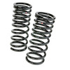 RS-R 98-05 Lexus GS300/400/430 (JZS160) Down Sus Springs - T223D Photo - Primary