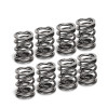 Supertech Audi/VW 1.8T AEB Dual Valve Spring - Set of 8 - SPR-H1002D-8 User 1