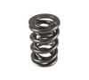 1.550 Dual Valve Spring (1)