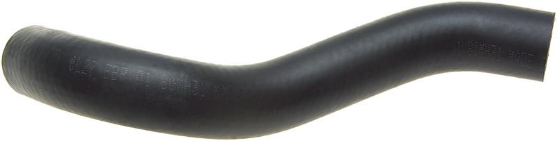 Photo - Primary