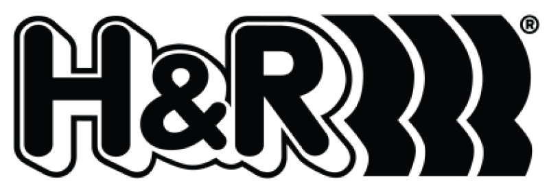 H&R 22-23 Volkswagen Golf R MK8 Replacement Front Spring (For 54880-55) - 54880-55F User 1