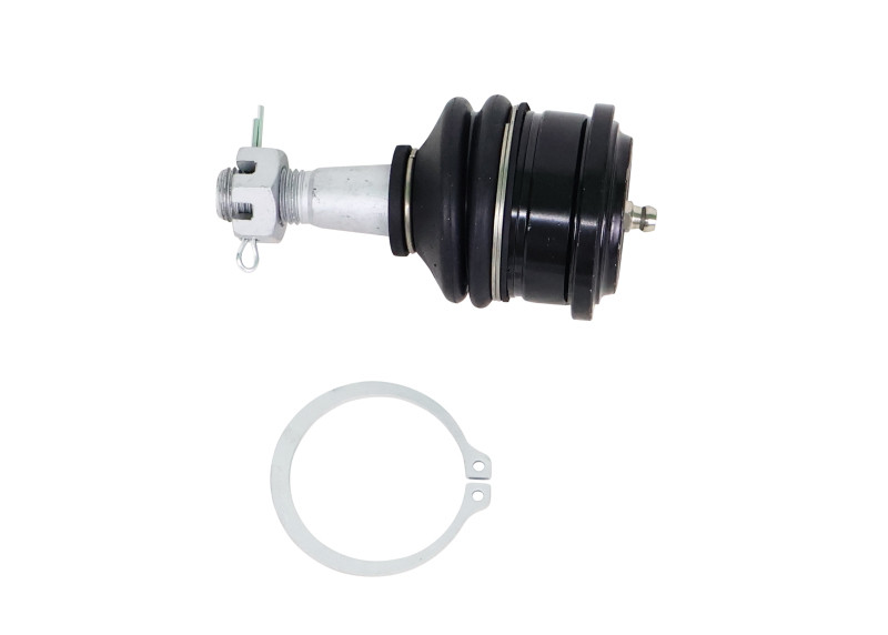 Whiteline 05-21 Nissan Frontier Fixed Offset UCA Replacement Ball Joint Kit - KSK223 Photo - Close Up