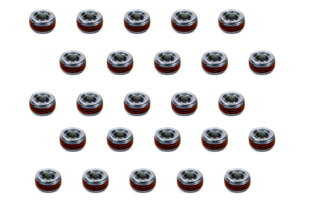 1/2 Pipe Plugs (25pk) Hex Socket