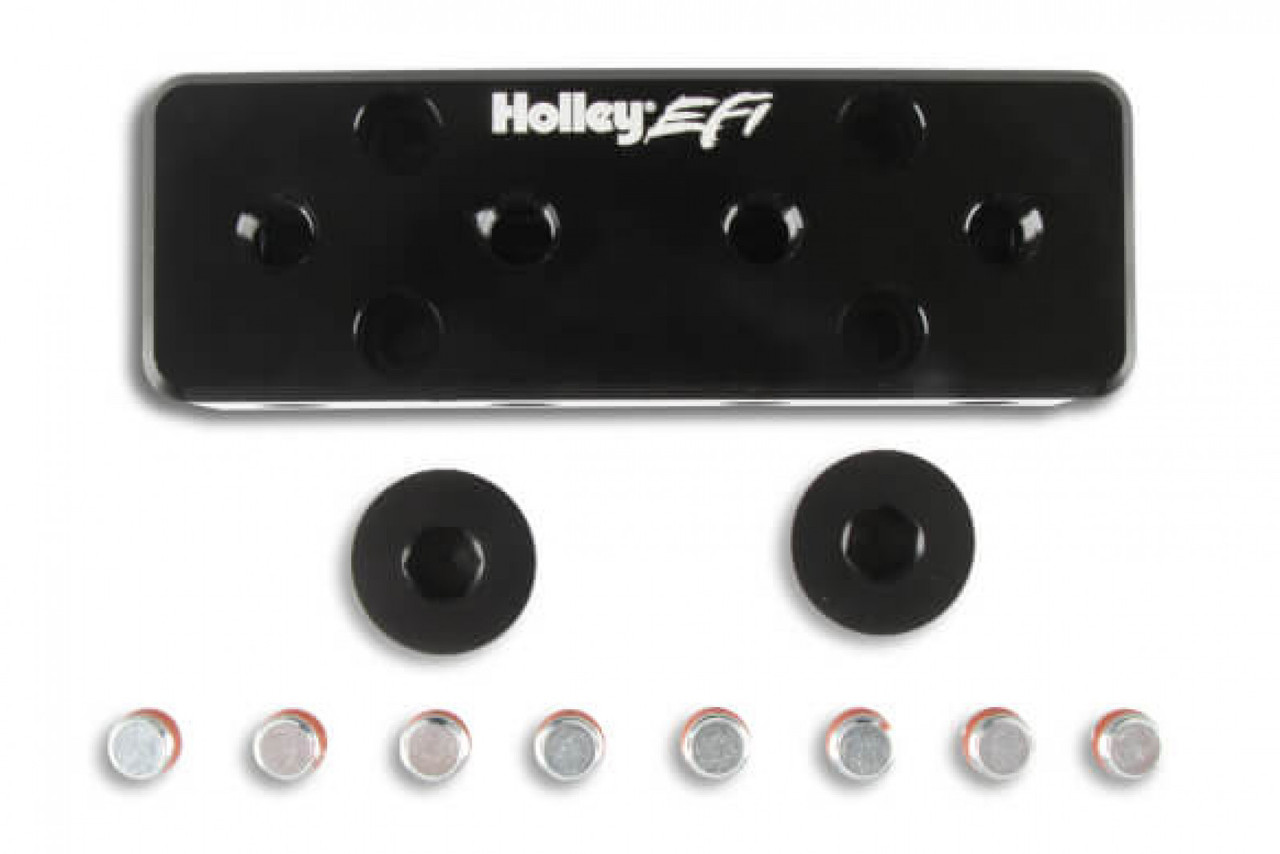 Holley EFI Vacuum Manifold (HOE-1534-52) Holley EFI Vacuum Manifold (HOE-1534-52)