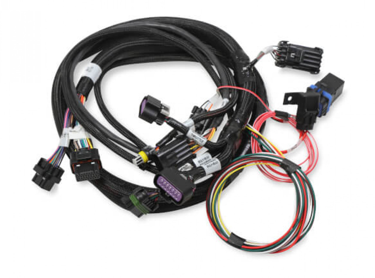 Holley EFI Terminator Stealth 2x4 MAIN HARNESS (HOE-2558-121)
