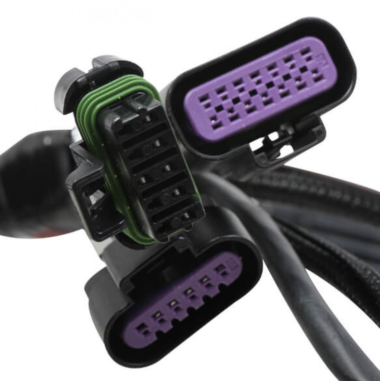 Holley EFI Terminator Stealth 2x4 MAIN HARNESS (HOE-2558-121)