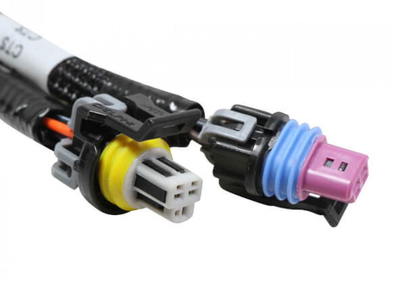 Holley EFI Terminator Stealth 2x4 MAIN HARNESS (HOE-2558-121)