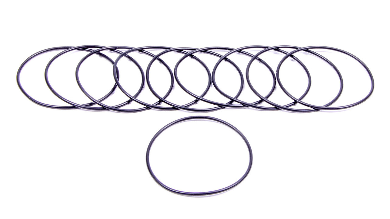Filter O-Rings (10)