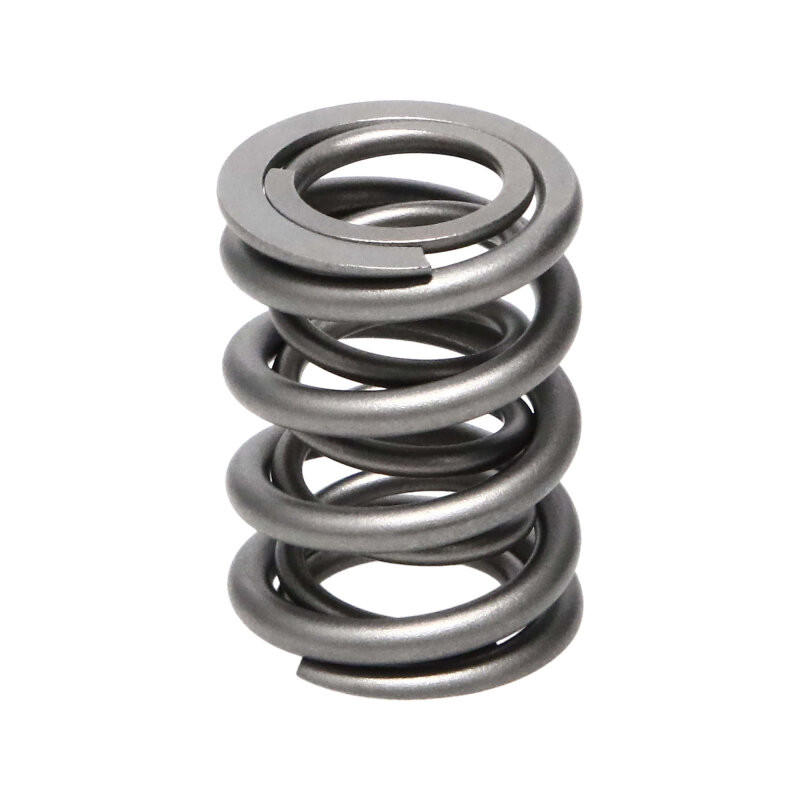 Manley Nissan (KA24DE) 16pc Valve Springs - 22160-16 User 1