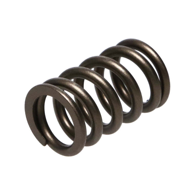 Manley Nissan (RB26DET) 24pc Valve Springs - 22175-24 Photo - out of package