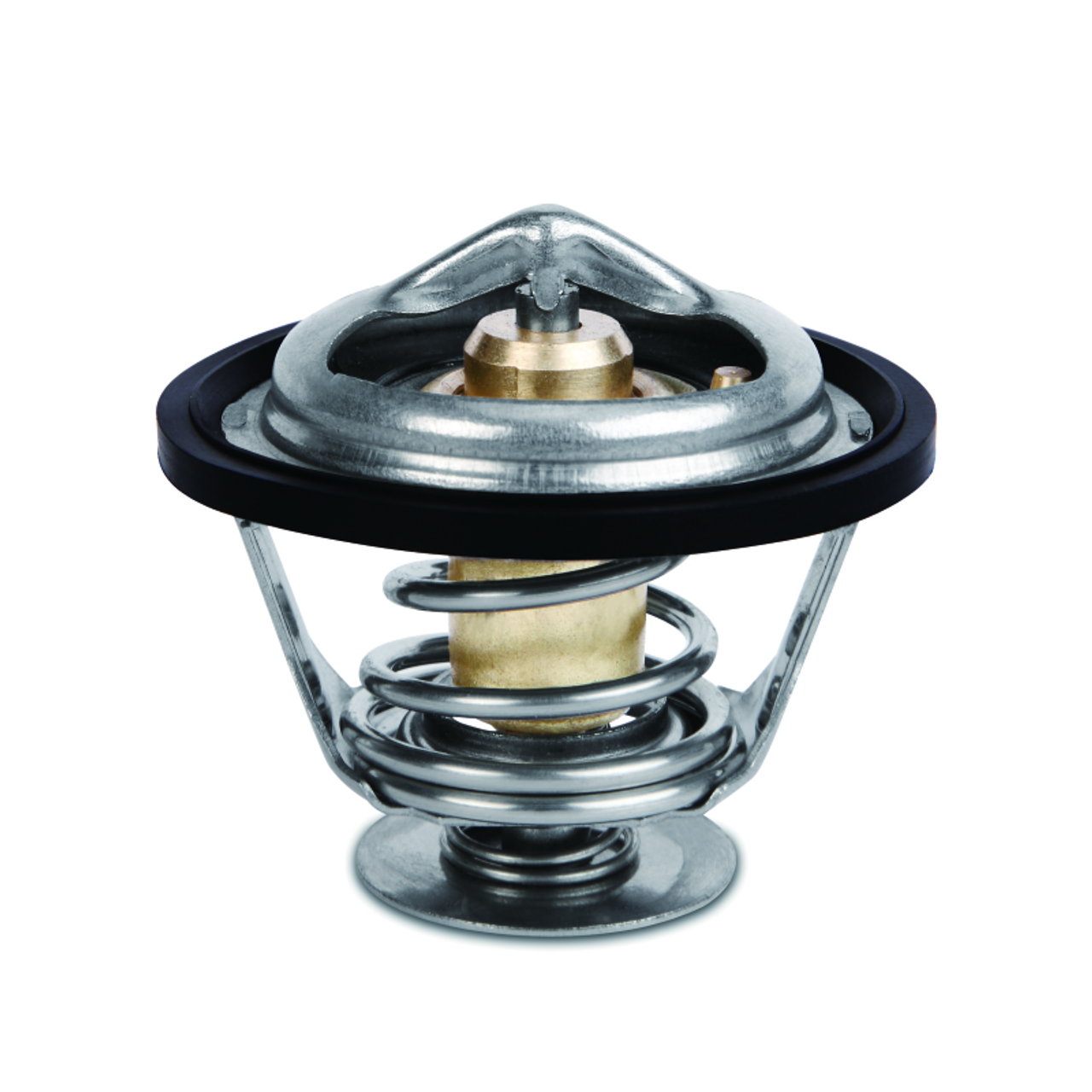 Photo - Primary Photo - Primary