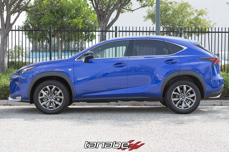 Tanabe NF210 Springs 15-16 Lexus NX200T F-Sport FWD - TNF196 Photo - Primary