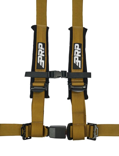 PRP 4.2 Harness- Gold - SBAUTO2GO Photo - Primary
