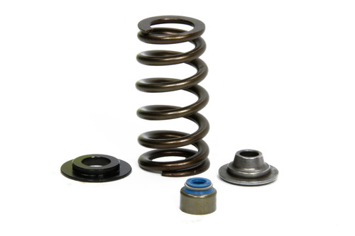 Valve Spring Kits - Ford 5.0L Coyote Engine Valve Spring Kits - Ford 5.0L Coyote Engine