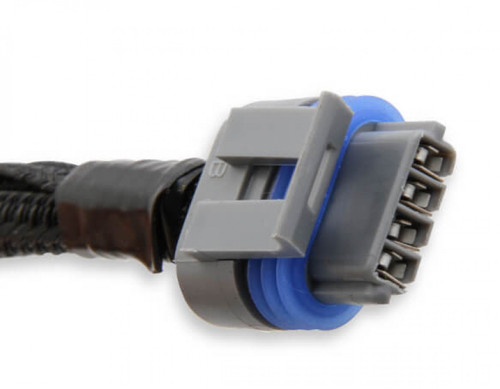 Holley EFI LS COIL HARNESSES (HOE-1558-321) Holley EFI LS COIL HARNESSES (HOE-1558-321)