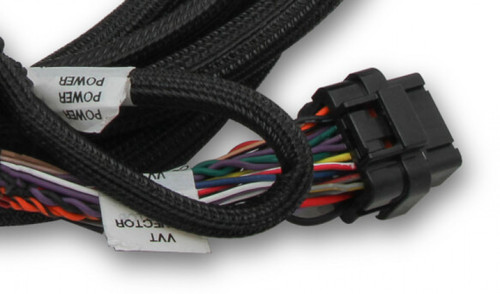 Holley EFI Ford Coyote Ti-VCT Sub Harness (2011-2012) (HOE-1558-124) Holley EFI Ford Coyote Ti-VCT Sub Harness (2011-2012) (HOE-1558-124)