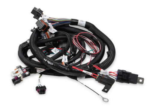 Holley EFI Main Engine Harness for 24x LS w/TBI (HOE-2558-111)
