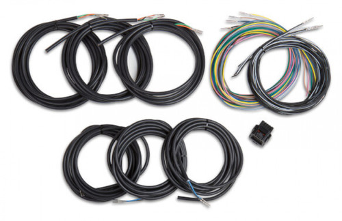 Holley EFI Unterminated Vehicle Harness for Digital Dash (HOE-2558-435)