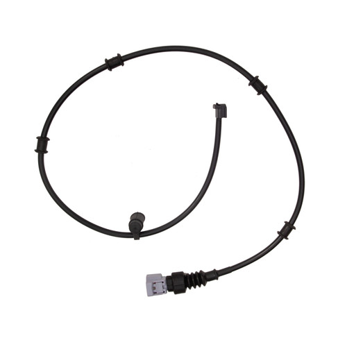 Photo - Primary