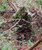Titan 3D Mossy Oak Leafy Suit MO-OB80-LS-S/M for Hunting & Camouflage