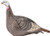 Hunters Specialties HS-100001 Strut-Lite Hen Turkey Decoy for Realistic Turkey Hunting