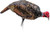 Montana Decoy Company M0085 Turkey Jake Decoy for Realistic Hunting Montana Decoy Company M0085 Turkey Jake Decoy for Realistic Hunting