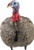 Avian X LCD Quarter Strut Jake Turkey Decoy - Lifesize Synthetic Hunting Decoy
