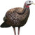 Avian X LCD Breeder Hen Decoy - Lifesize Synthetic Turkey Decoy for Hunting