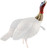 Avian X HDR Jake Decoy - LifeSize Synthetic Turkey Decoy with Removable Heads Avian X HDR Jake Decoy - LifeSize Synthetic Turkey Decoy with Removable Heads