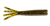 Z-Man Fishing Products TRD TicklerZ 2.75-inch Green Pumpkin — 8 Pack