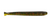 Z-Man Fishing Products TMIN-268PK8 3.5-Inch TRD Minnowz with Cali Craw - 8 Pack TMIN-268PK8