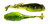 Z-Man Fishing Products TRD GobyZ 2.4" Hot Snakes Soft Plastic Baits (6-Pack) TGB-349PK6