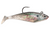 Rapala Storm Wildeye Swim Shad 05 in Shad Color – Durable Soft Plastic Lure for Freshwater and Saltwater Fishing