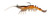 Z-Man Fishing Products PrawnStarz 3.5" Brown Shrimp Soft Baits (2 Pack) PS35-02