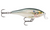 Rapala Shallow Shad Rap 07 - SSR07SD