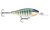 Rapala Shad Rap Elite 75 Gilded Blue Gill - Versatile Crankbait for Freshwater Fishing