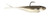 Z-Man Graph Shadz 3.8-Inch 3/8 oz Electric Shad - Versatile Soft Plastic Lure GS38-38-07 Z-Man Graph Shadz 3.8-Inch 3/8 oz Electric Shad - Versatile Soft Plastic Lure GS38-38-07