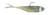Z-Man Graph Shadz 3.8-inch Sexy Shad Fishing Lure – 3/16 oz GS38-316-08 Z-Man Graph Shadz 3.8-inch Sexy Shad Fishing Lure – 3/16 oz GS38-316-08