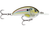 Rapala OGT07RSL Ott's Garage Deep Tiny 07 Live River Shad Fishing Lure Rapala OGT07RSL Ott's Garage Deep Tiny 07 Live River Shad Fishing Lure