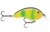 Rapala Ott's Garage Tiny 04 Coosa Special (Part Number: OGT04COS) Rapala Ott's Garage Tiny 04 Coosa Special (Part Number: OGT04COS)