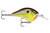 Rapala DT10HM Dives-To 10 Hot Mustard Floating Lure Rapala DT10HM Dives-To 10 Hot Mustard Floating Lure