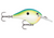 Rapala Dives-To 06 Citrus Shad Fishing Lure - Durable Plastic Body for Predator Fish Rapala Dives-To 06 Citrus Shad Fishing Lure - Durable Plastic Body for Predator Fish