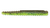 Rapala CrushCity Ned BLT 3 Green Pumpkin Chartreuse Pepper - Fishing Lure Rapala CrushCity Ned BLT 3 Green Pumpkin Chartreuse Pepper - Fishing Lure