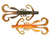 Rapala CrushCity Hedgehog 4 Bama Craw – Versatile Soft Plastic Lure for Bass Fishing Rapala CrushCity Hedgehog 4 Bama Craw – Versatile Soft Plastic Lure for Bass Fishing