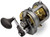 Shimano Tyrnos 2-Speed Saltwater Reel with 4 Ball Bearings (Part Number: TYR20II) TYR20II