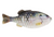 Berkley PowerBait Gilly HD Crappie Lure - 4.3 Inches, 110mm 1546067 Berkley PowerBait Gilly HD Crappie Lure - 4.3 Inches, 110mm 1546067