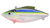 GSM Fishing Lewis Mini-Trap 1/4 Blue Shiner